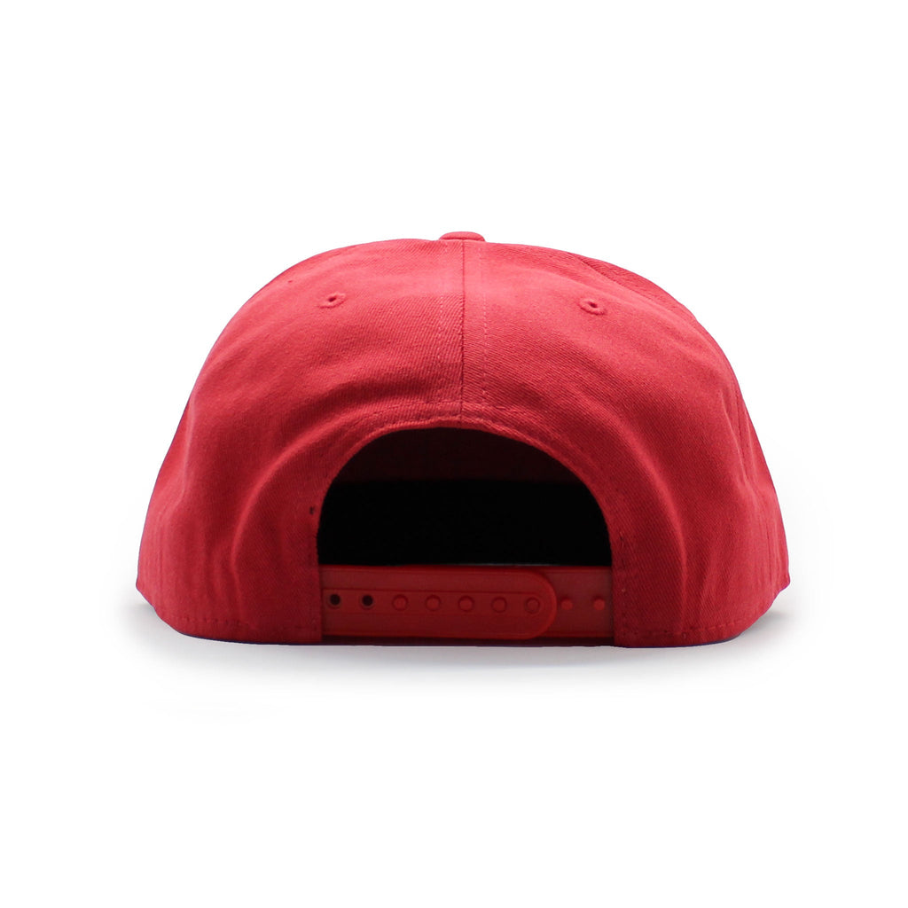 NY Snapback